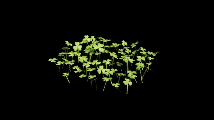 UE项目资源_模型资源_植物1929