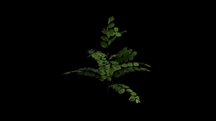UE项目资源_模型资源_植物1938
