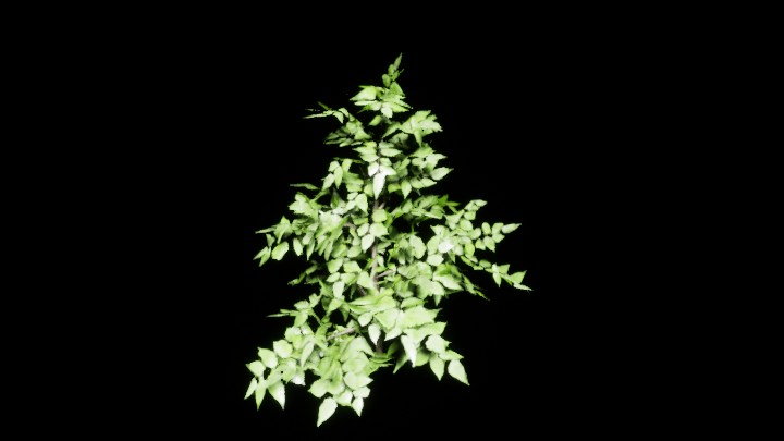 UE项目资源_模型资源_植物1955