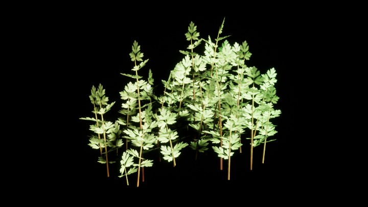 UE项目资源_模型资源_植物1958