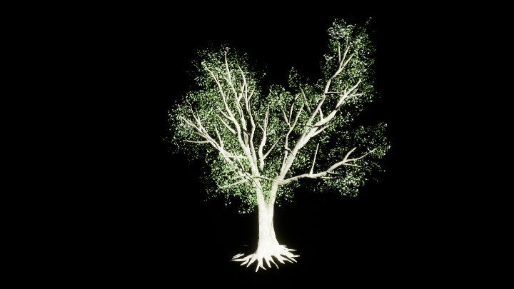 UE项目资源_模型资源_植物1971