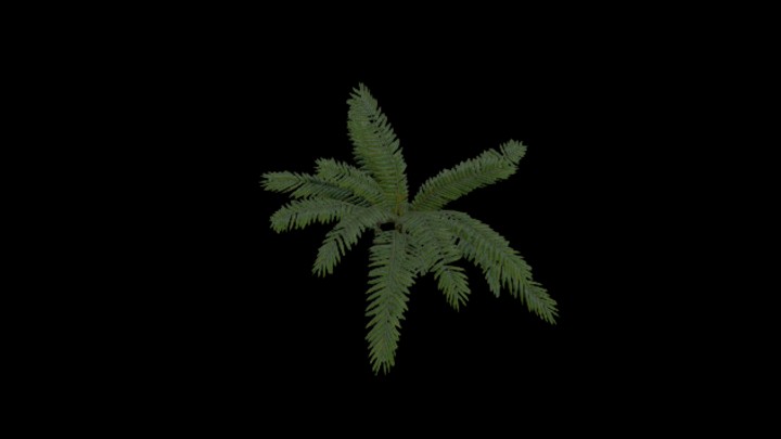 UE项目资源_模型资源_植物1994