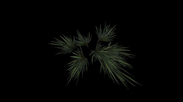 UE项目资源_模型资源_植物1999