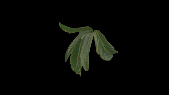 UE项目资源_模型资源_植物2017