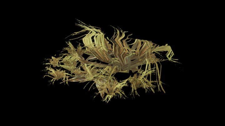 UE项目资源_模型资源_植物2034