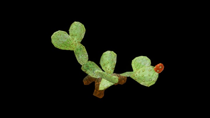 UE项目资源_模型资源_植物2043