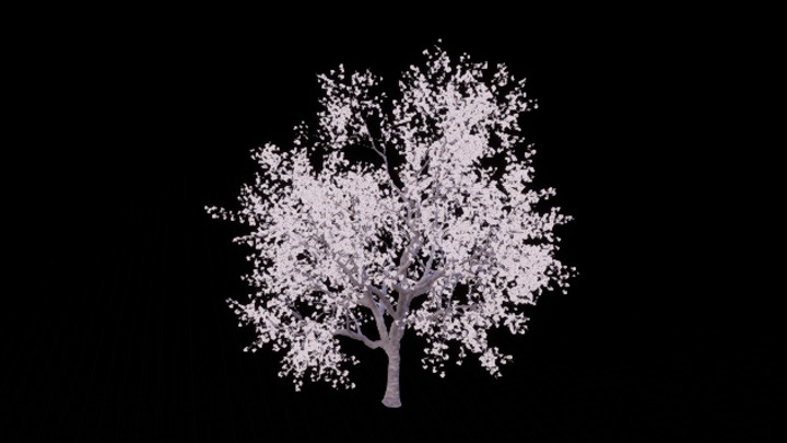 UE项目资源_模型资源_樱花树004