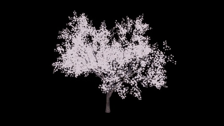 UE项目资源_模型资源_樱花树021