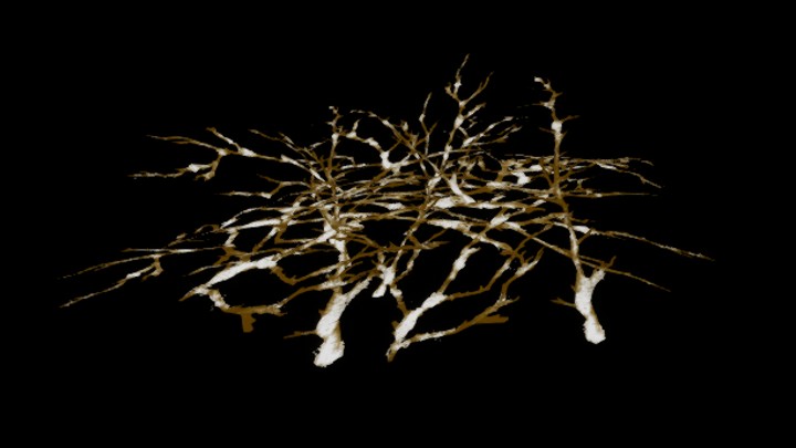 UE项目资源_模型资源_灌木150