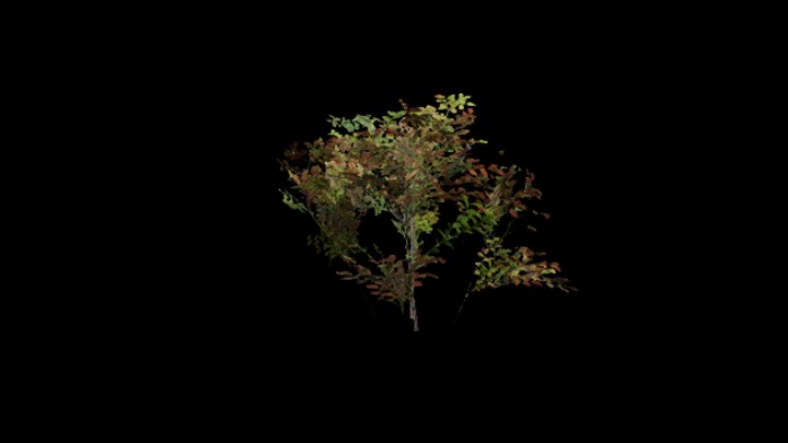 UE项目资源_模型资源_灌木160