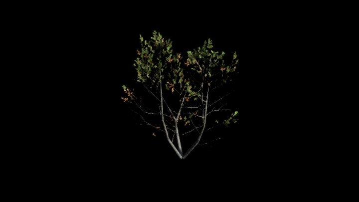 UE项目资源_模型资源_灌木166