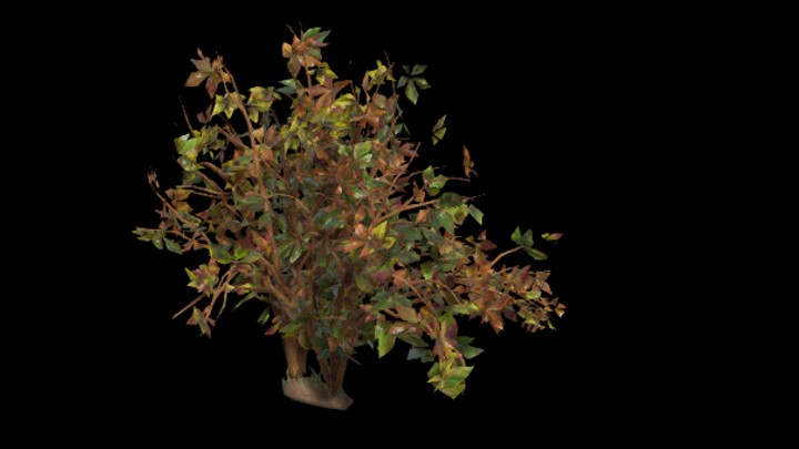 UE项目资源_模型资源_灌木176