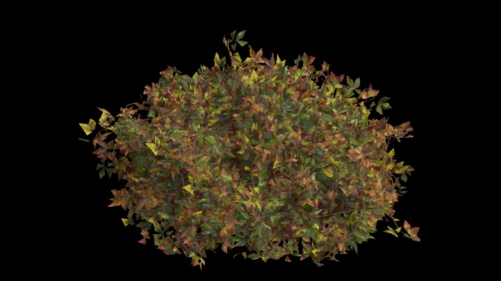 UE项目资源_模型资源_灌木177