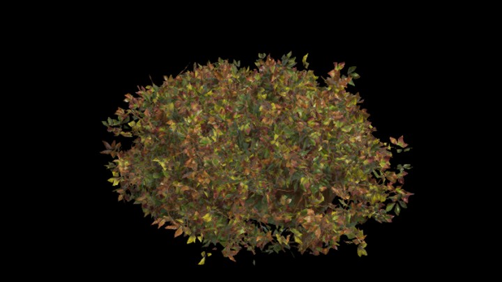 UE项目资源_模型资源_灌木178