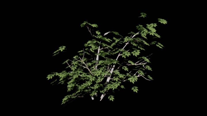 UE项目资源_模型资源_灌木179