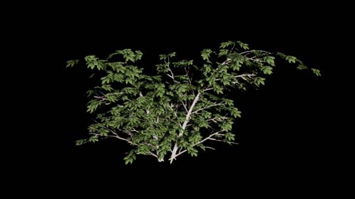 UE项目资源_模型资源_灌木180