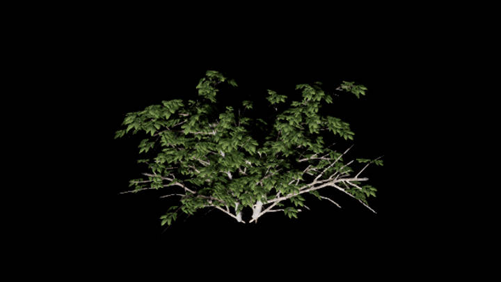 UE项目资源_模型资源_灌木181