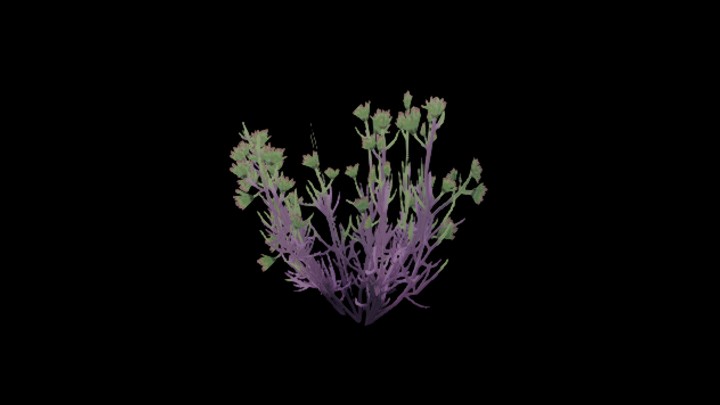 UE项目资源_模型资源_花1007