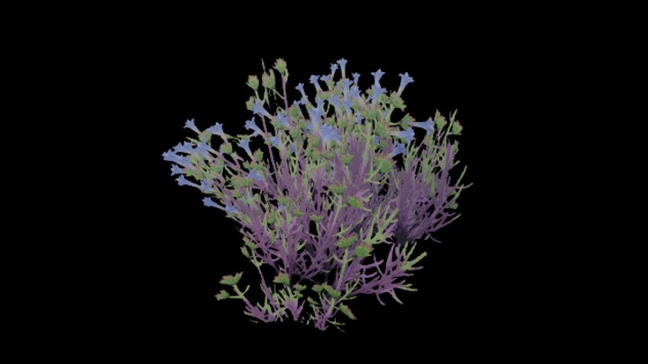 UE项目资源_模型资源_花1010