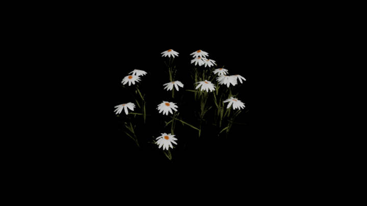 UE项目资源_模型资源_花963