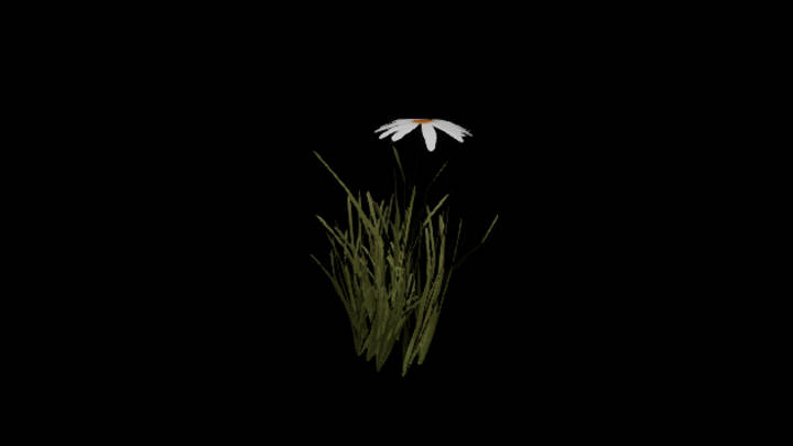 UE项目资源_模型资源_花965