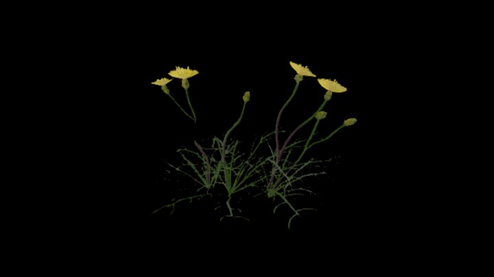 UE项目资源_模型资源_花969