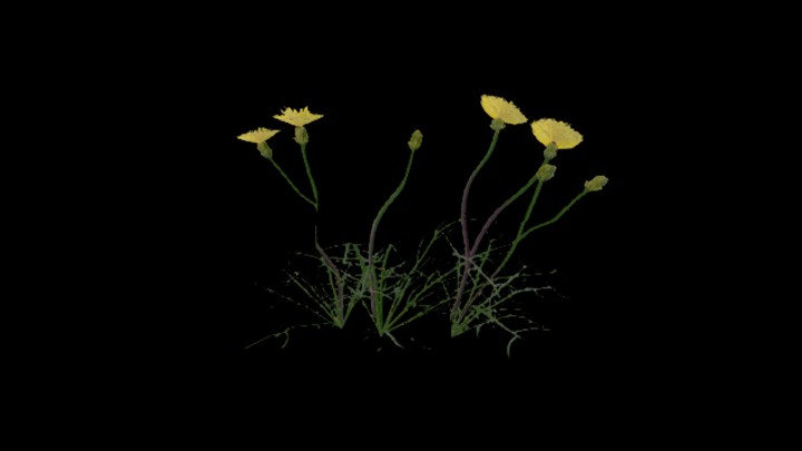 UE项目资源_模型资源_花981