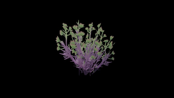 UE项目资源_模型资源_花995