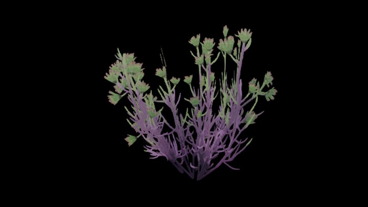 UE项目资源_模型资源_花996