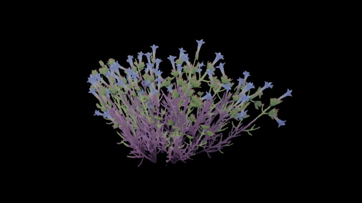 UE项目资源_模型资源_花997