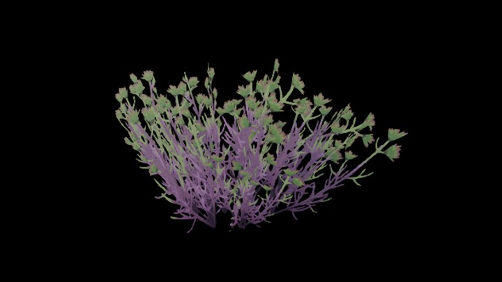 UE项目资源_模型资源_花998