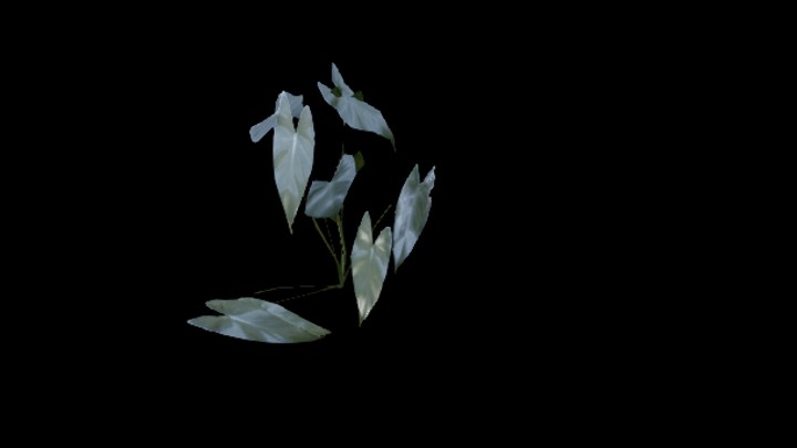 UE项目资源_模型资源_草2465