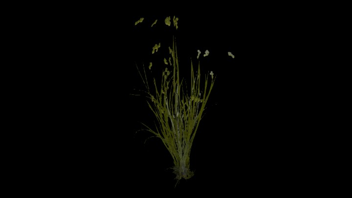 UE项目资源_模型资源_草2492