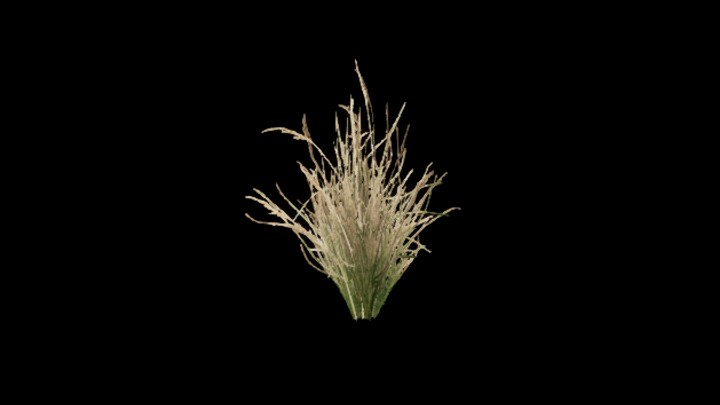 UE项目资源_模型资源_草2520