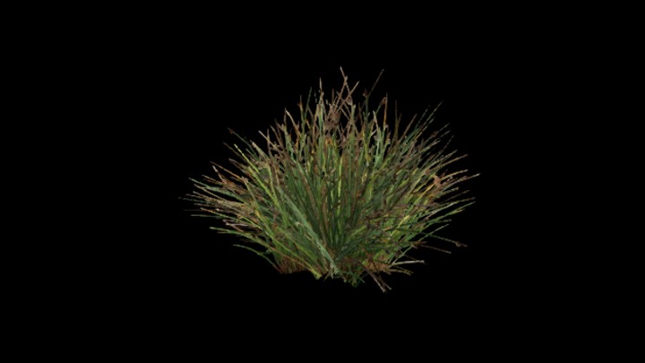 UE项目资源_模型资源_草2522