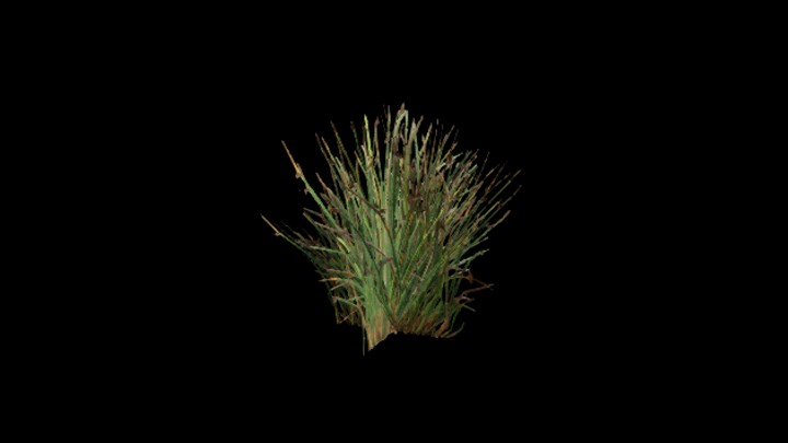 UE项目资源_模型资源_草2524