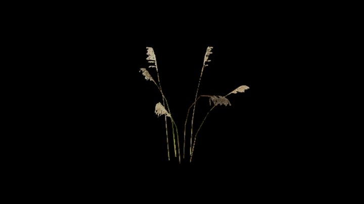 UE项目资源_模型资源_草2532