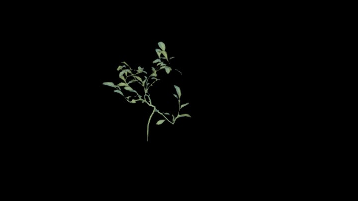 UE项目资源_模型资源_草2540