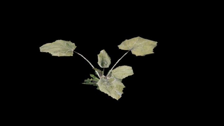 UE项目资源_模型资源_草2543