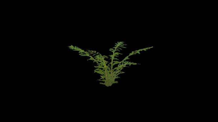 UE项目资源_模型资源_草2575