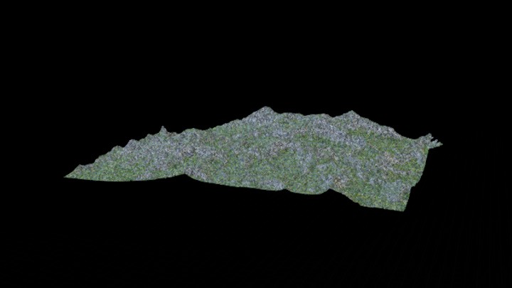 UE项目资源_模型资源_草2610