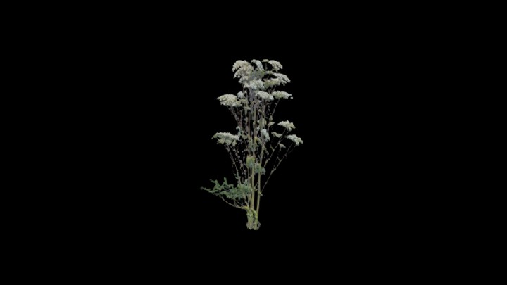 UE项目资源_模型资源_草2621