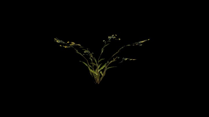 UE项目资源_模型资源_草2629