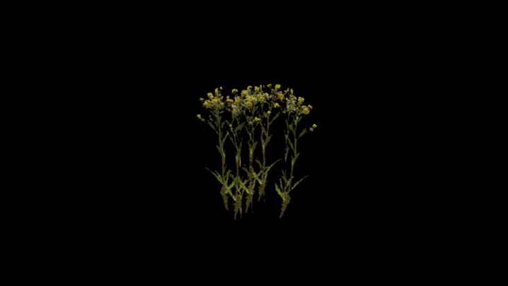 UE项目资源_模型资源_草2637