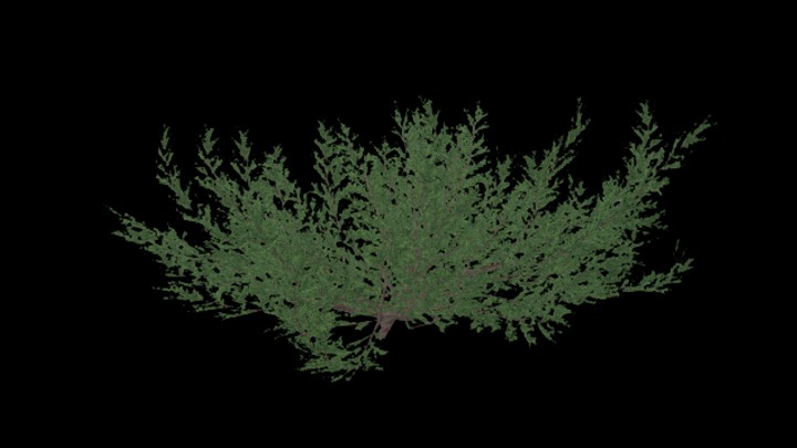 UE项目资源_模型资源_草2672