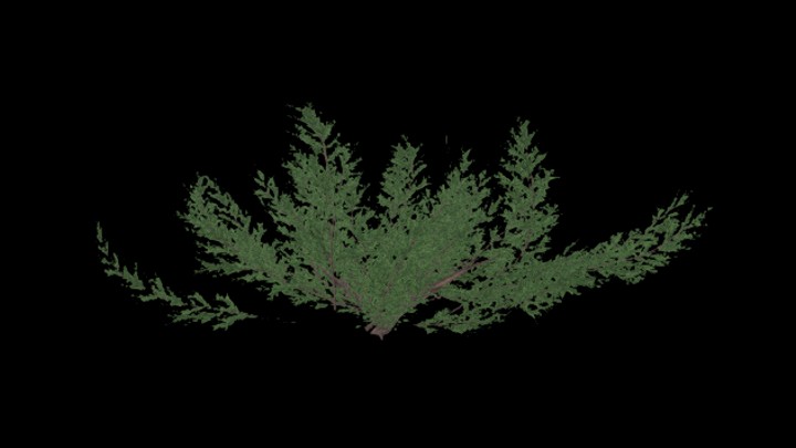 UE项目资源_模型资源_草2673