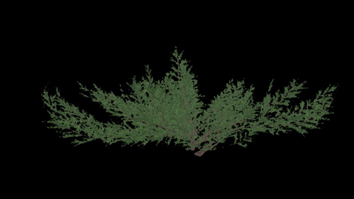 UE项目资源_模型资源_草2674