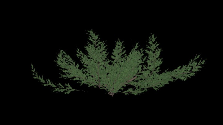 UE项目资源_模型资源_草2680