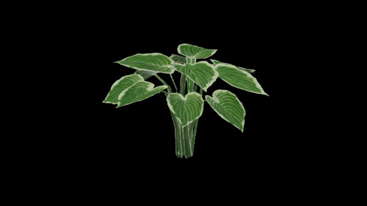 UE项目资源_模型资源_草2685