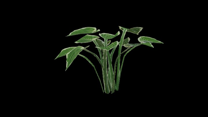 UE项目资源_模型资源_草2687